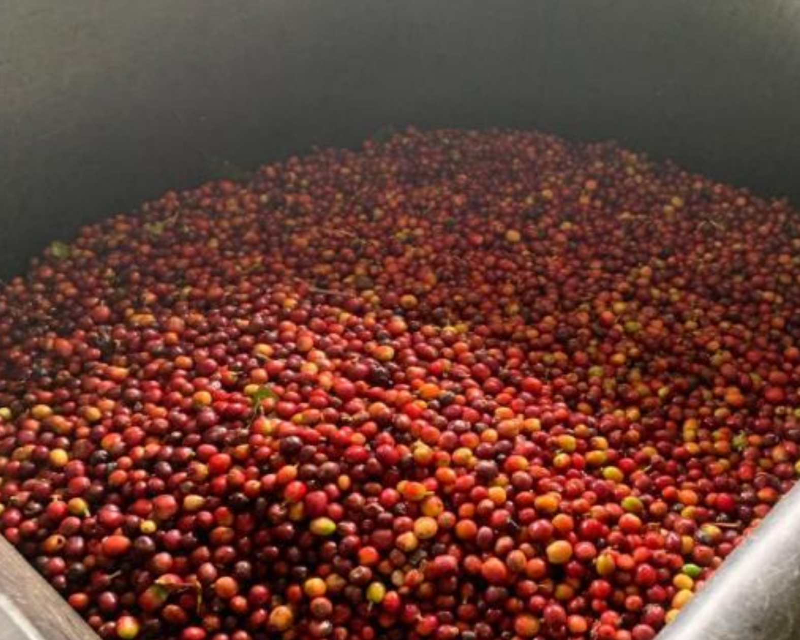 El Capitolio - Colombia