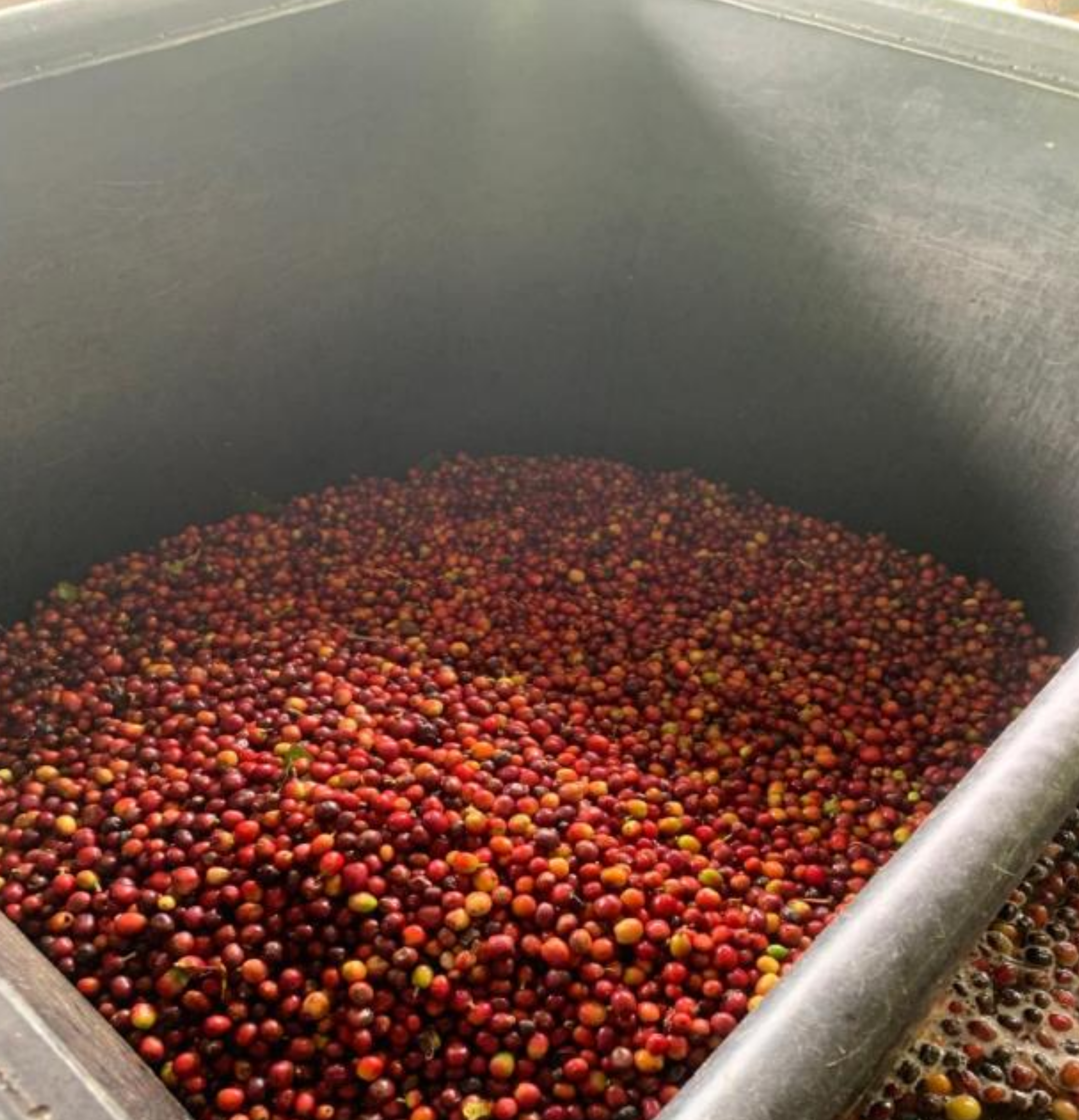 El Capitolio - Kolumbien