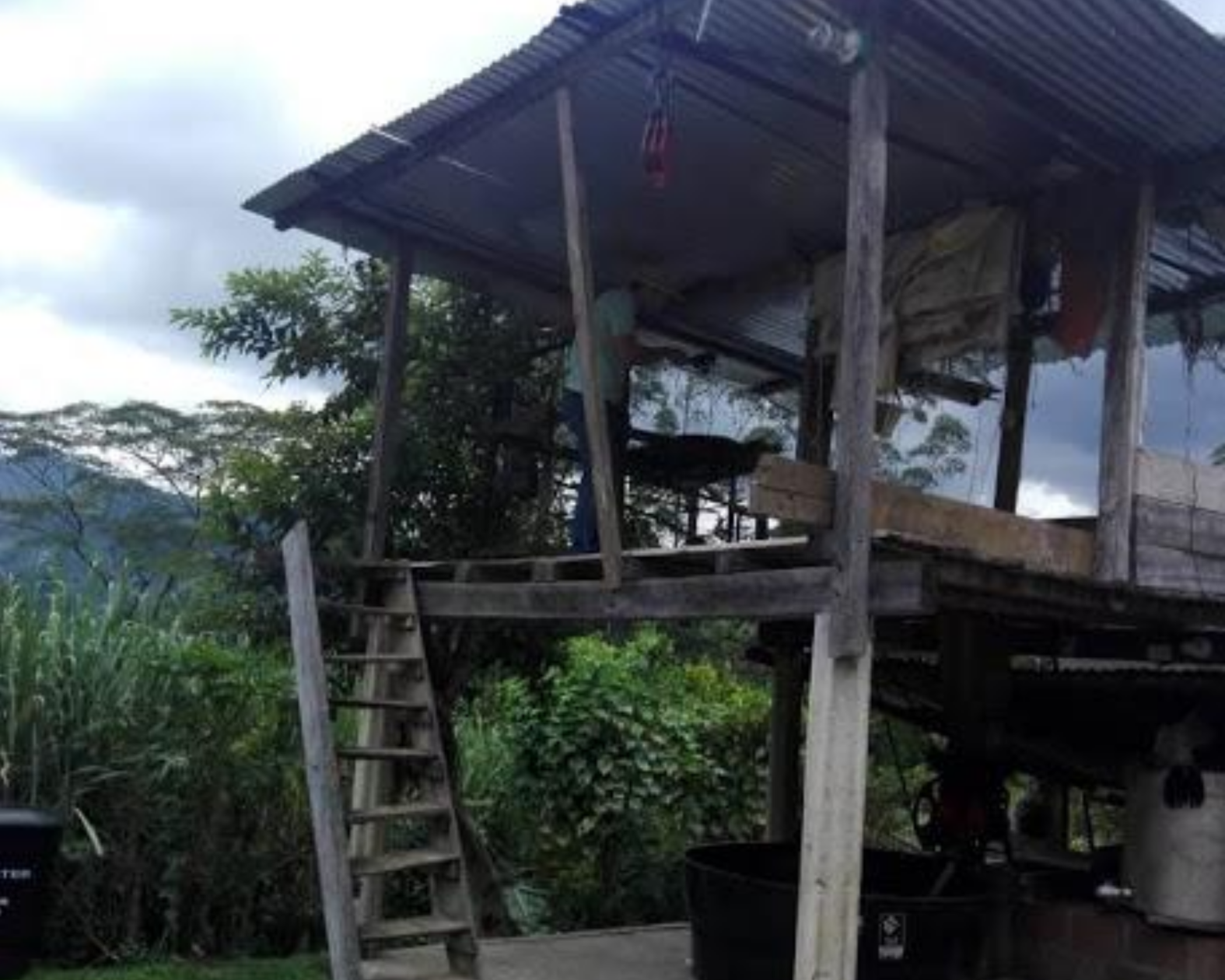 El Trebol - Colombia